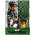 2012 Marvel Beginnings 2 - #238 - Chamber
