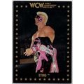 WCW CHAMPIONSHIP MARKETING ' STING ' card # 1 (...