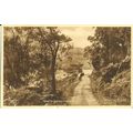 Argyllshire GLENBORRODALE Road Postcard (Tuck G...