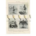 Fickleness of Fashions Fancies, Victorian Carto...