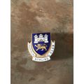 Norfolk bowling club bowling bowls badge