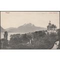 Pension Alpenblick, Weggis, 1906 - Voege AK