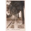 ED 421 NOTTINGHAM - LOVERS WALK. RP POSTCARD