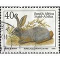 SOUTH AFRICA, MAMMAL, Bushmann Hare, white 1993...