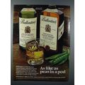 1980 Ballantine's Scotch Ad - As Like As Peas i...