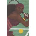 Serena Williams Womens Tennis Wimbledon Champio...
