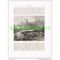 THE LEVEE AT NEW ORLEANS, USA, BOOK ILLUSTRATIO...