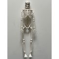 PLASTIC SKELETON (7 INCH)