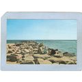 Rhode Island Galilee Summer Visitors On The Bre...