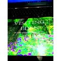 Visiting Eden
