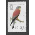 POLAND 1975 BIRD OF PREY 1Z MALE LESSER KESTREL...