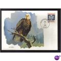 1985 USA BALD EAGLE WASHINGTON PMK REF 85-5 FDI