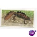 1990 Brooke Bond Tea card A Journey Downstream ...