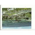 Yorkshire GAYLE Village Postcard by Scott (CY847)