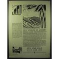 1929 Red Star Line, White Star Line Cruise Ad - Mystery
