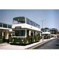 Colour Photograph of Ipswich Borough Council Tr...