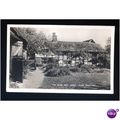 Sussex COOLHAM Blue Idol Guest House Postcard