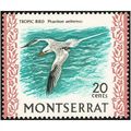 Montserrat QEII 1970 Birds 20c Red Billed Tropi...