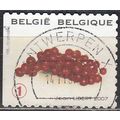 Belgique 2007 Michel 3740 O Cote (2008) 1.70 € ...