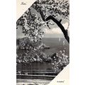 Fiori-Nuovi Italy Postcard unused VGC