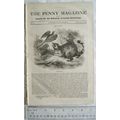 1838 The Penny Magazine No. 371 Tripoli, London...