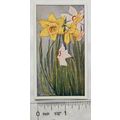 Vintage: Dutch card Jac. P. Thijsse, Lente No. ...