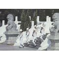 ROC Navy Guards at Taiwan National Revolutionar...