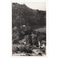 The Village Tintern Postcard RP Monmouthshire W...
