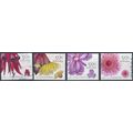 Australian Wildflowers - Australia 2005 - FH - ...