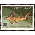 Vietnam 1980 Marine Life Fish 30xu Used Stamp S...