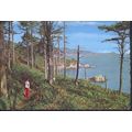 Vintage Guernsey PC 1969, The Pine Forest, Guer...