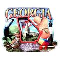 Georgia Montage Artwood Fridge Magnet