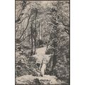 Ecclesbourne Glen, Hastings, Sussex, 1945 - Sus...