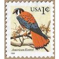 1999 American Kestrel 15927