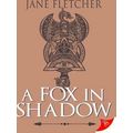 A Fox In Shadow