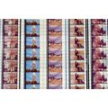SOLDIER BLUE. Pk MULTI QVF - a010J. - 5 STRIPS ...