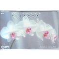 Orchid V2 Japan NTT Phone Card