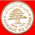 CEDAR TREE (1968-1980): LEBANON ★ 50 PIASTRES 1...