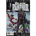Black Panther (Vol 2) # 035 NM MODERN AGE COMICS