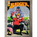 BADGER # 44 (1989) FIRST COMICS (VFN Condition)