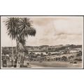 Dracaena Avenue, Falmouth, Cornwall, c.1950s - ...