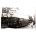 Black & White Photograph of Newport Corporation...