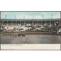 Plaza de Toros, Santa Cruz de Tenerife, c.1910 ...
