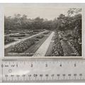 vintage postcard Rose Garden, Hesketh Park, Sou...