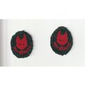 Scout Badge UK Pre 1967 - 2 x Wolf Cub Tenderpa...