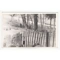 Motor Racing Car on Race Track Postcard A