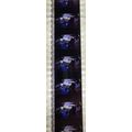 Back to the Future 2. Pk HCH - b041o . - 1 STRI...