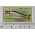 1933 Players Fresh-water Fishes, pink back No. ...