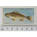 1933 Players Fresh-water Fishes, pink back No. ...