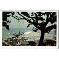 Aviation U.S. AIR FORCE MUSEUM, OHIO Postcard b...